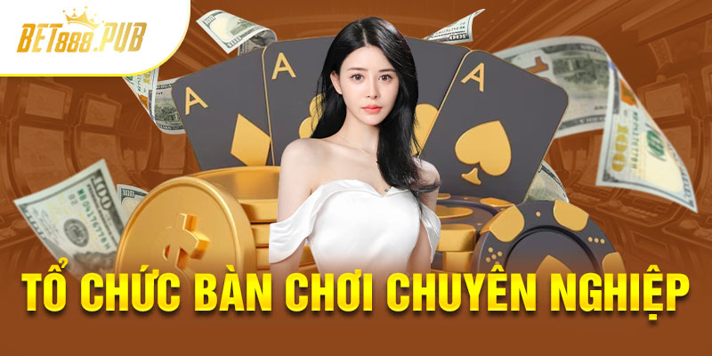 Tổ chức bàn chơi chuyên nghiệp