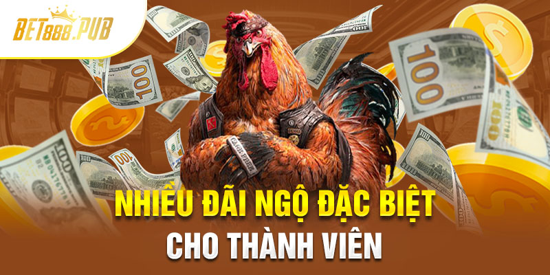 Các món quà chào đón thành viên mới