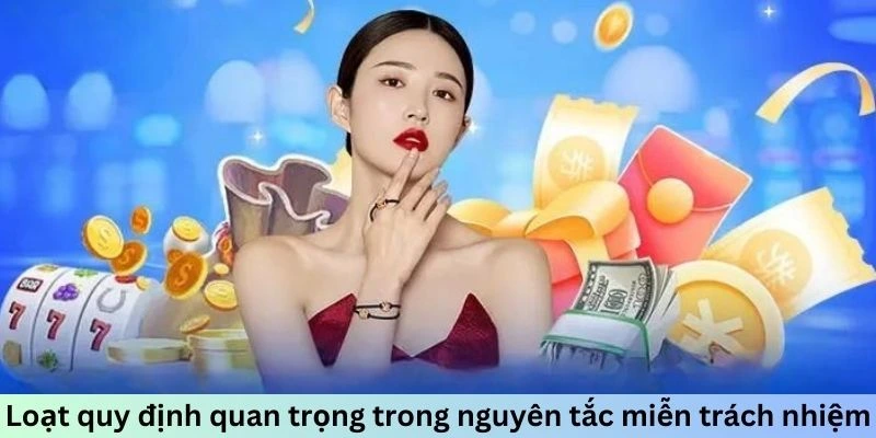 Loạt quy định quan trọng trong nguyên tắc miễn trách nhiệm